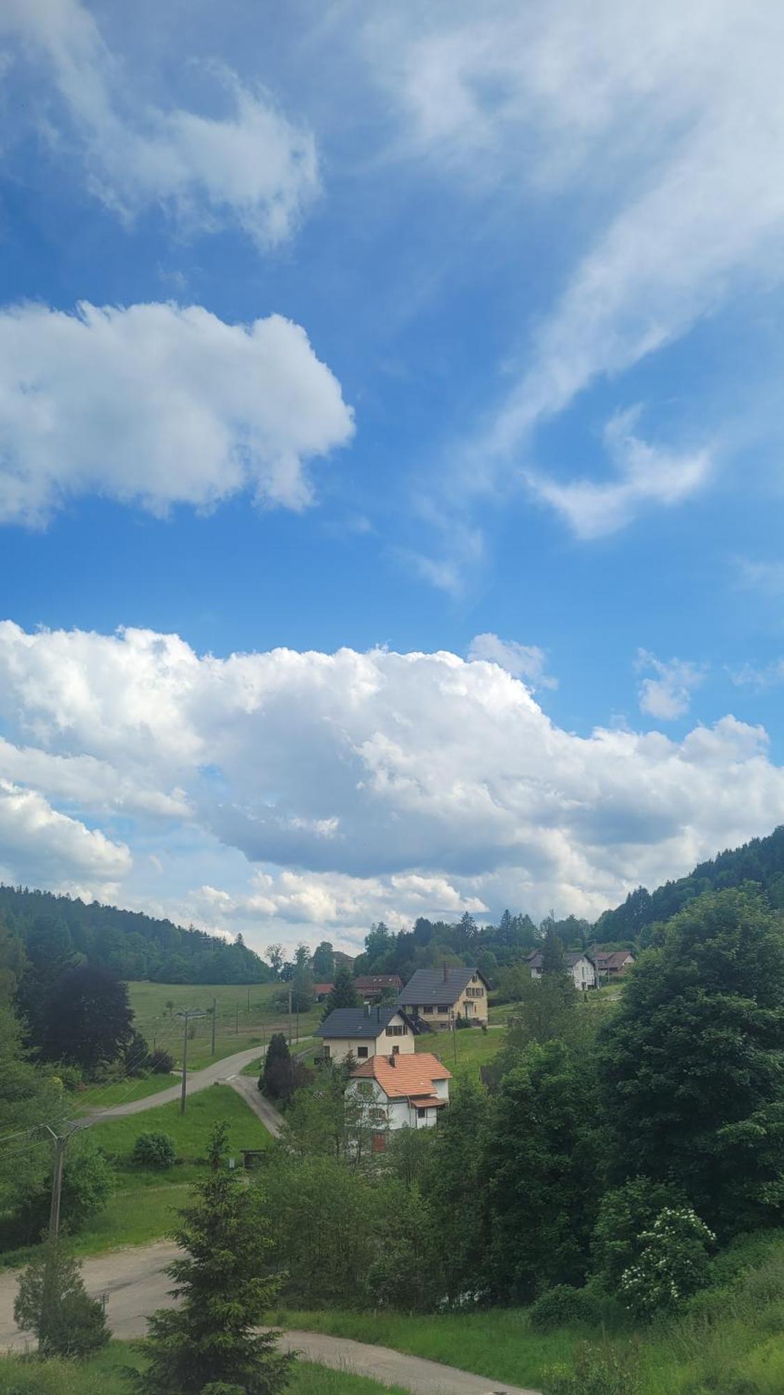 Auberge La Tete En L'Air 勒奥瓦尔德 外观 照片